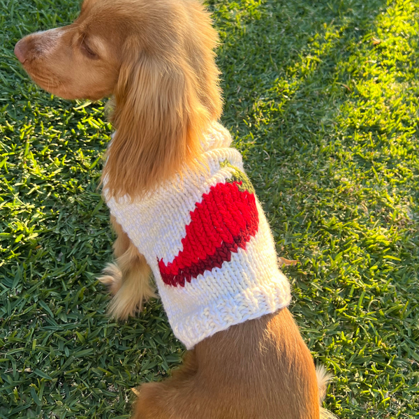 Chilli Sweater