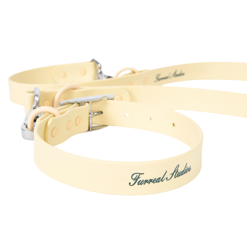 Halo Collar and Leash Set - Buttercream