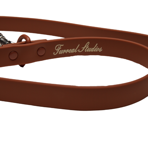 Halo Collar and Leash Set - Chocolate