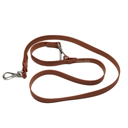 Halo Collar and Leash Set - Chocolate