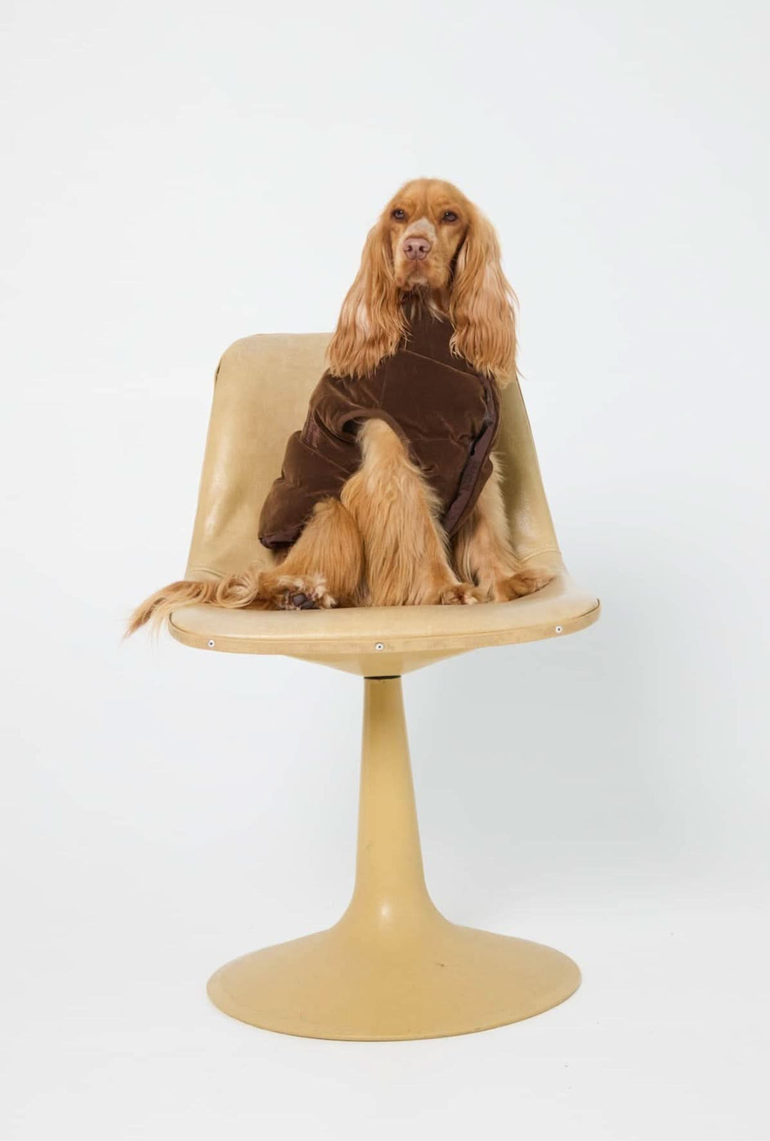 The Lucky Reversible Puffer - Chocolate Vest | FurReal Studios