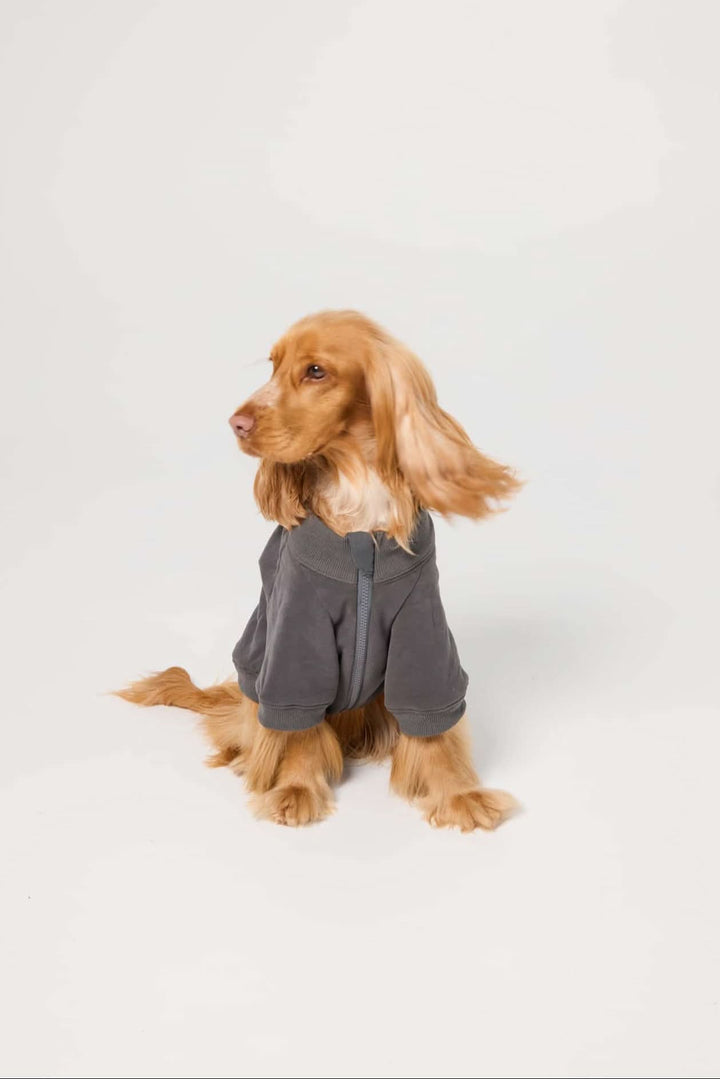 The Milo Crewneck - Charcoal Sweater | FurReal Studios