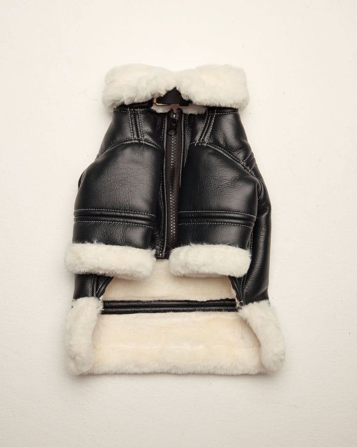 The Rocky Jacket Jacket | FurReal Studios