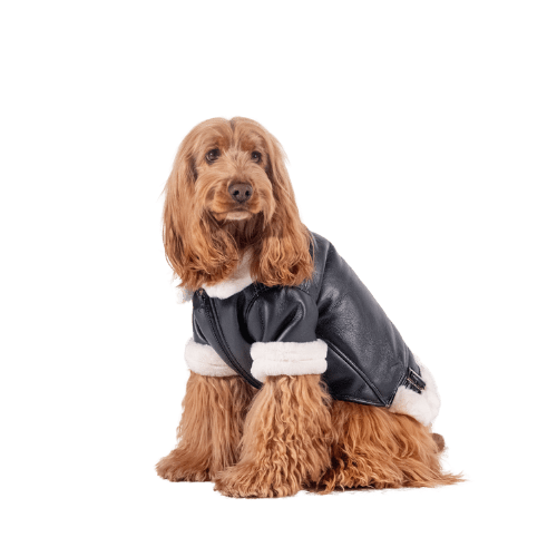 The Rocky Jacket Jacket | FurReal Studios