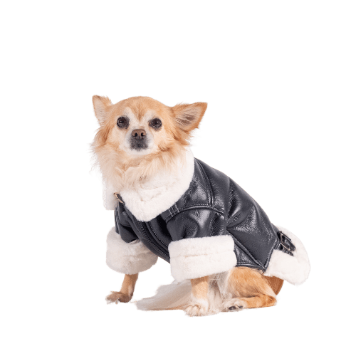 The Rocky Jacket Jacket | FurReal Studios